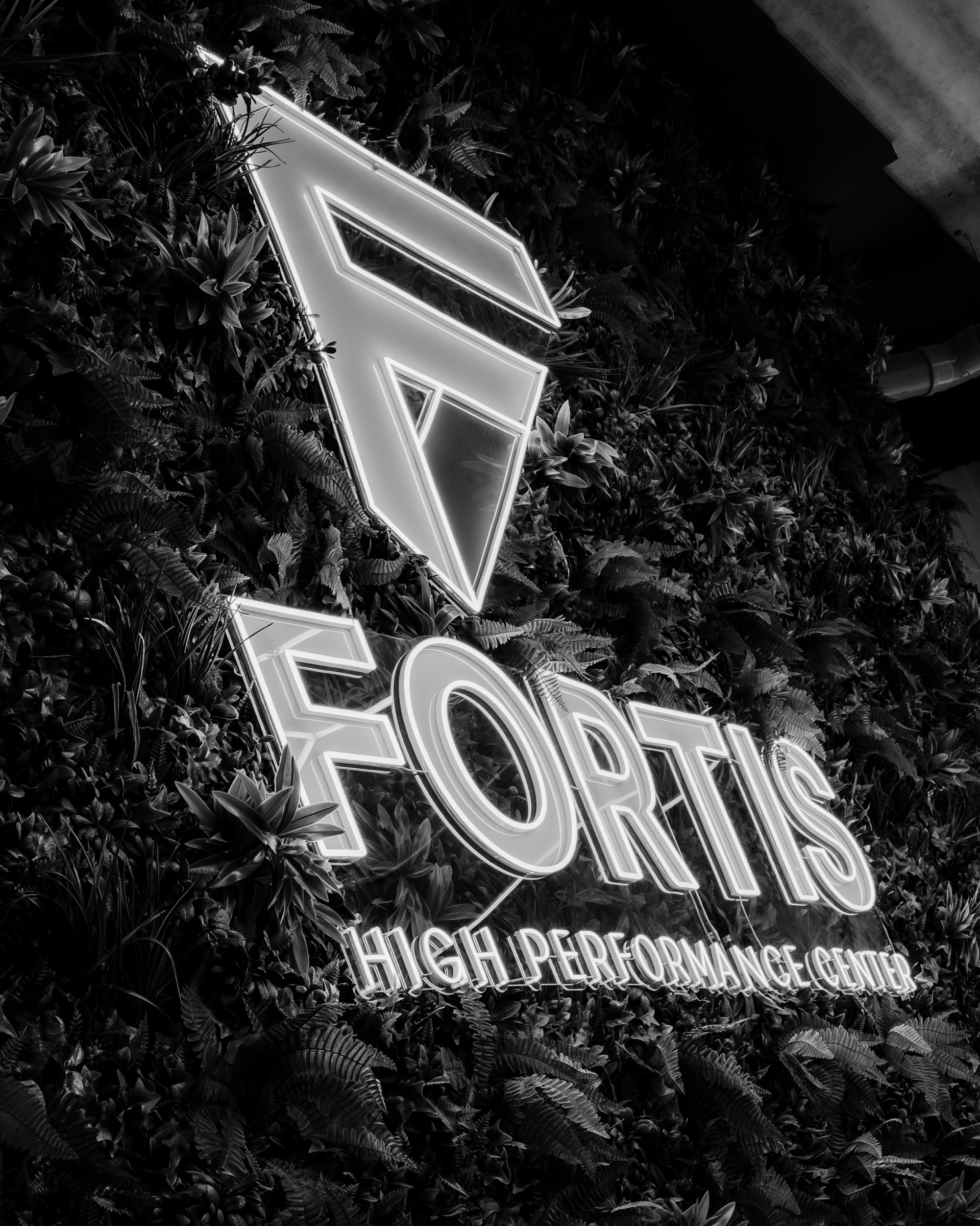 Footer background image